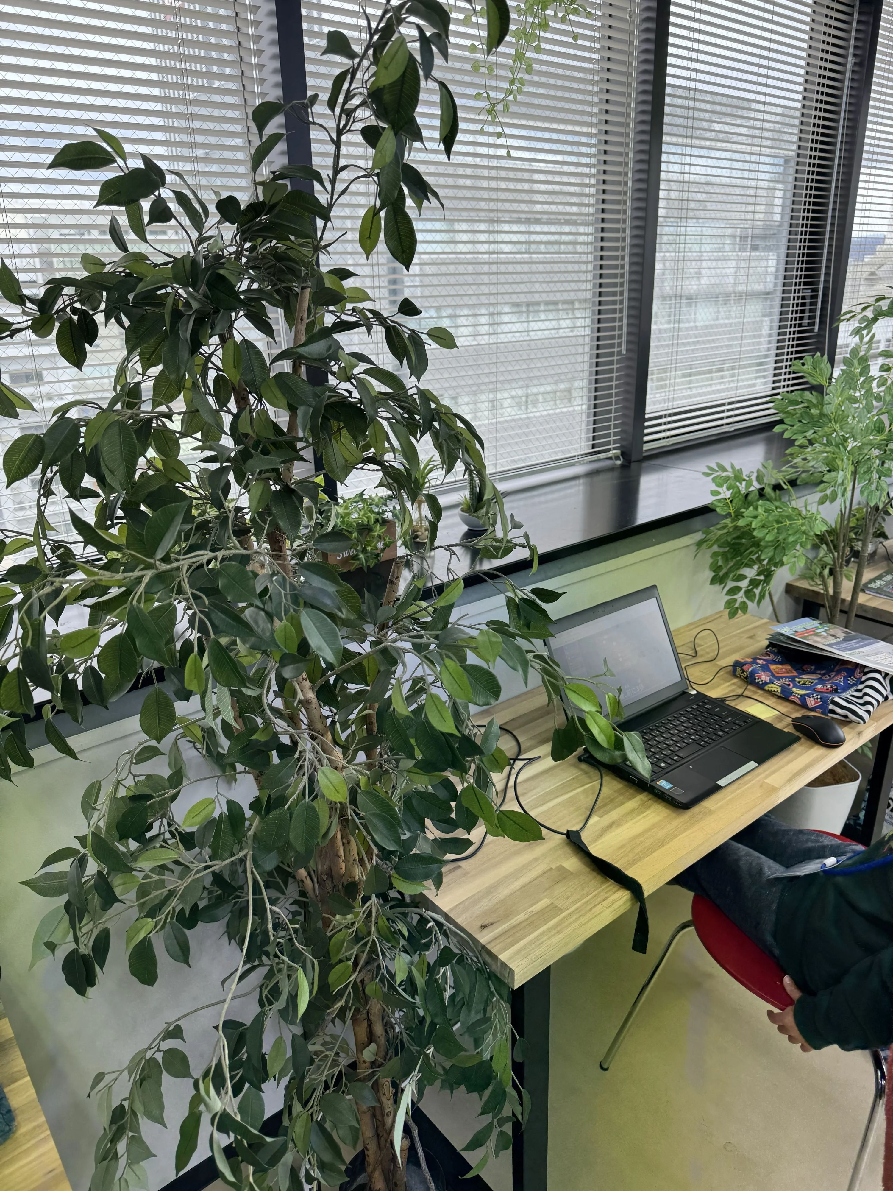 コードアドベンチャー 豊田市駅前校のサムネイル画像 5