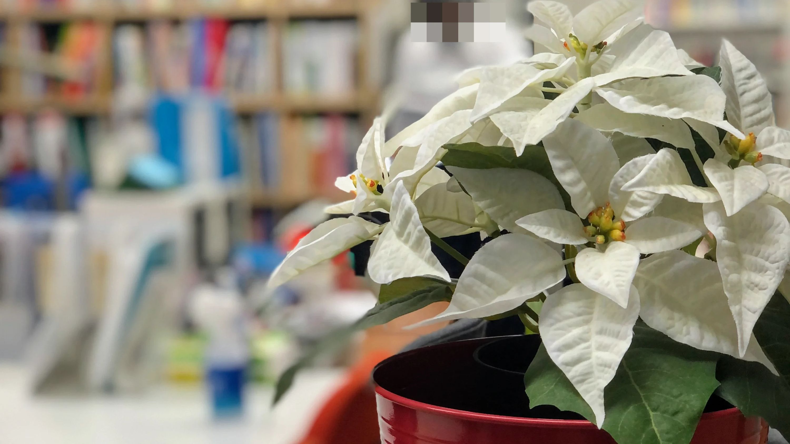 ヒューマンアカデミージュニアこどもプログラミング教室 堺深阪のメイン画像