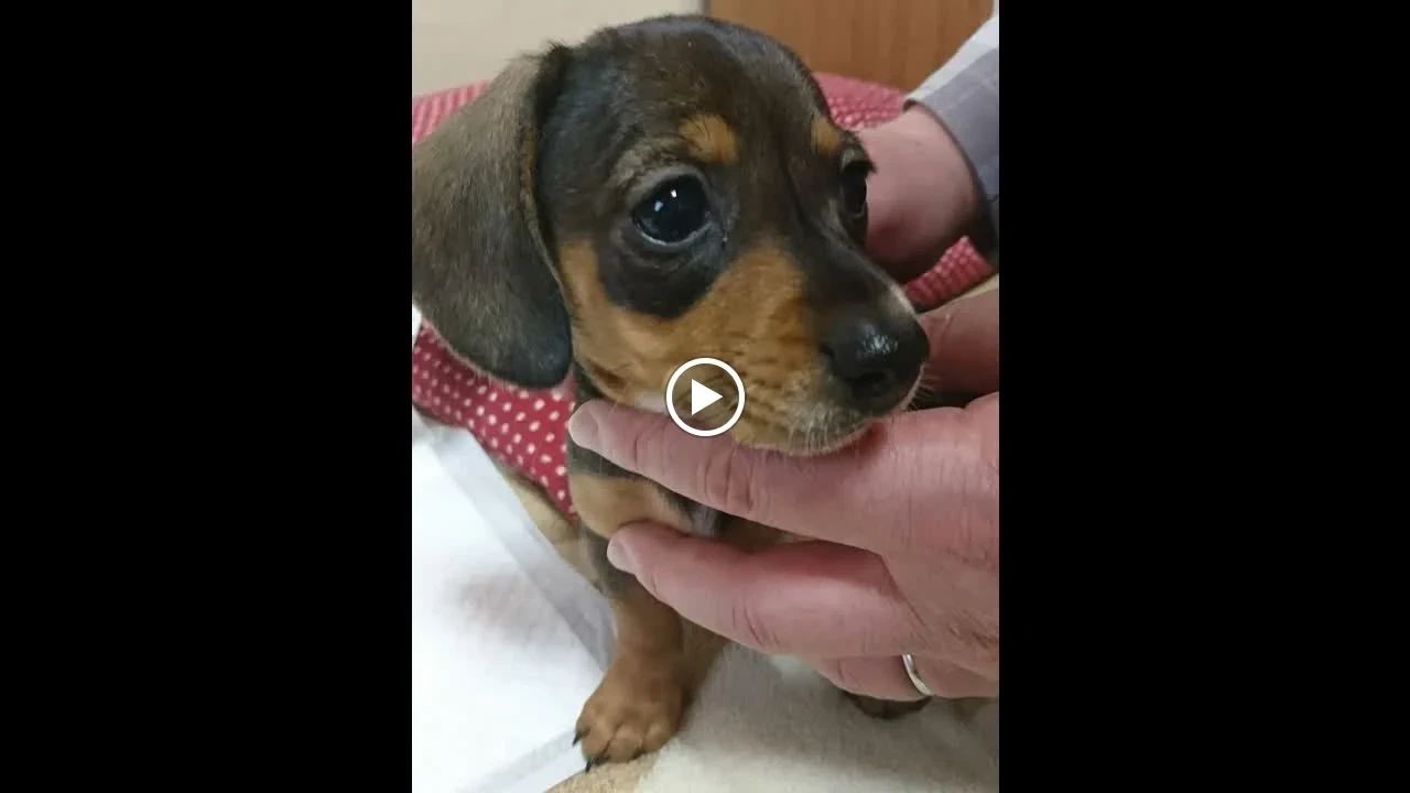 アーテック自考力キッズ 個別学習塾 育脳寺子屋 天六校のサムネイル画像 5