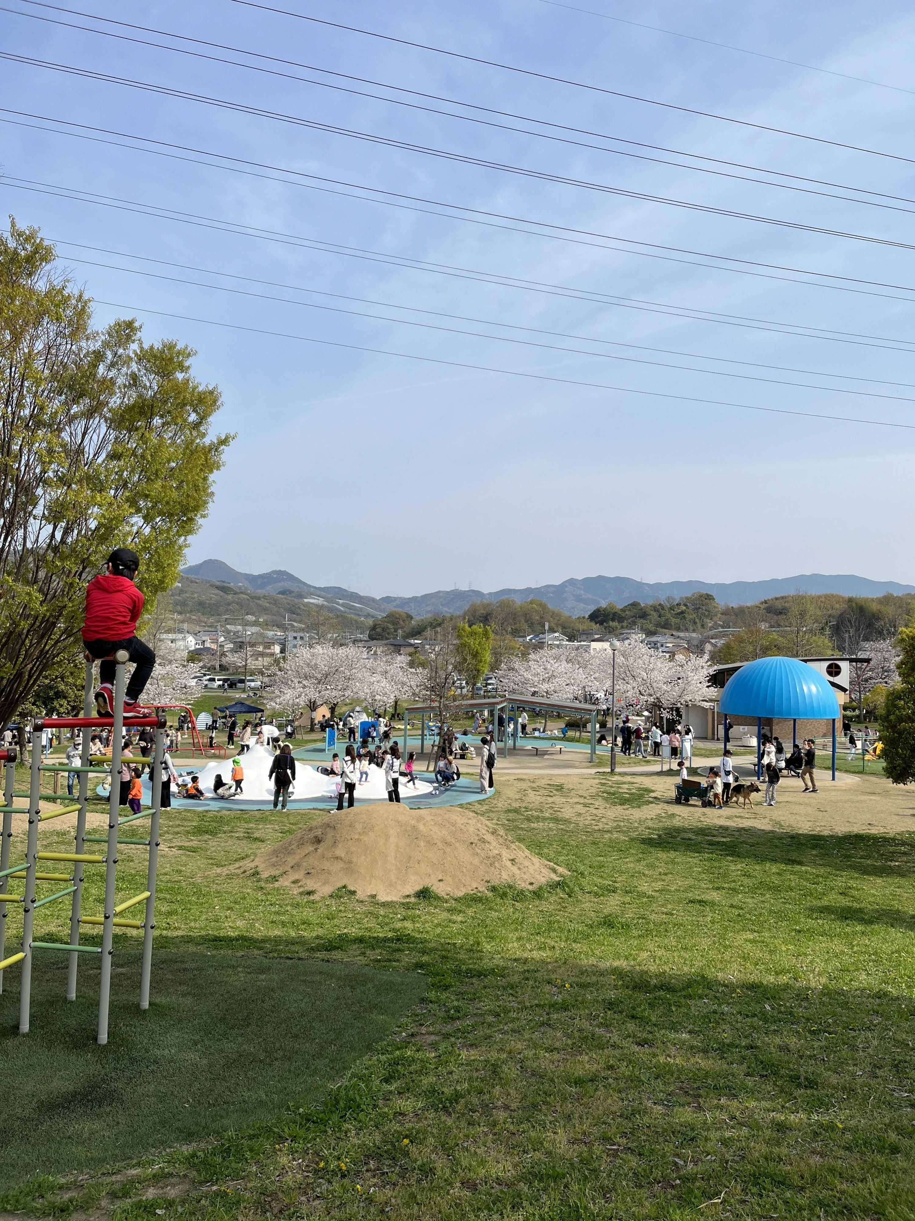 市民パソコン塾 富田林校のサムネイル画像 3