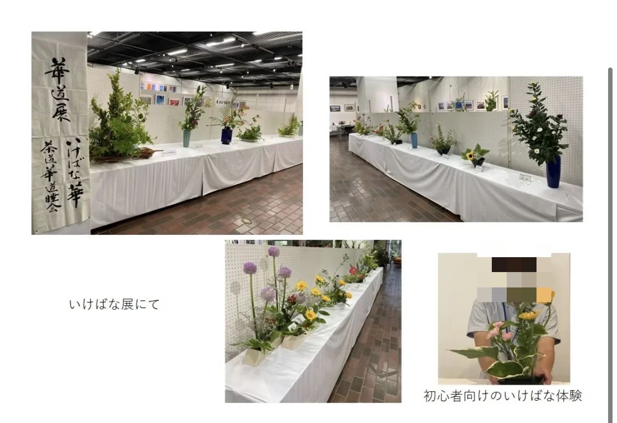 箏・三絃教室”楓の花” 東村山教室のメイン画像