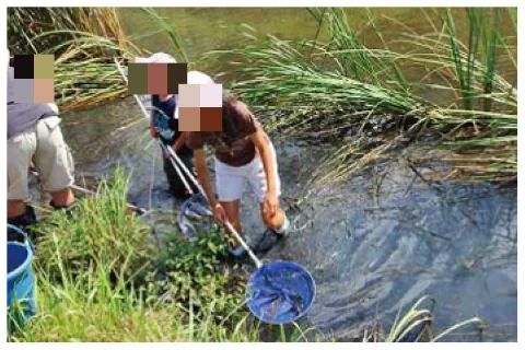 サイエンス倶楽部つつじヶ丘教室のサムネイル画像 5