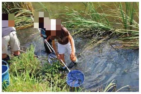 サイエンス倶楽部船橋教室のサムネイル画像 5