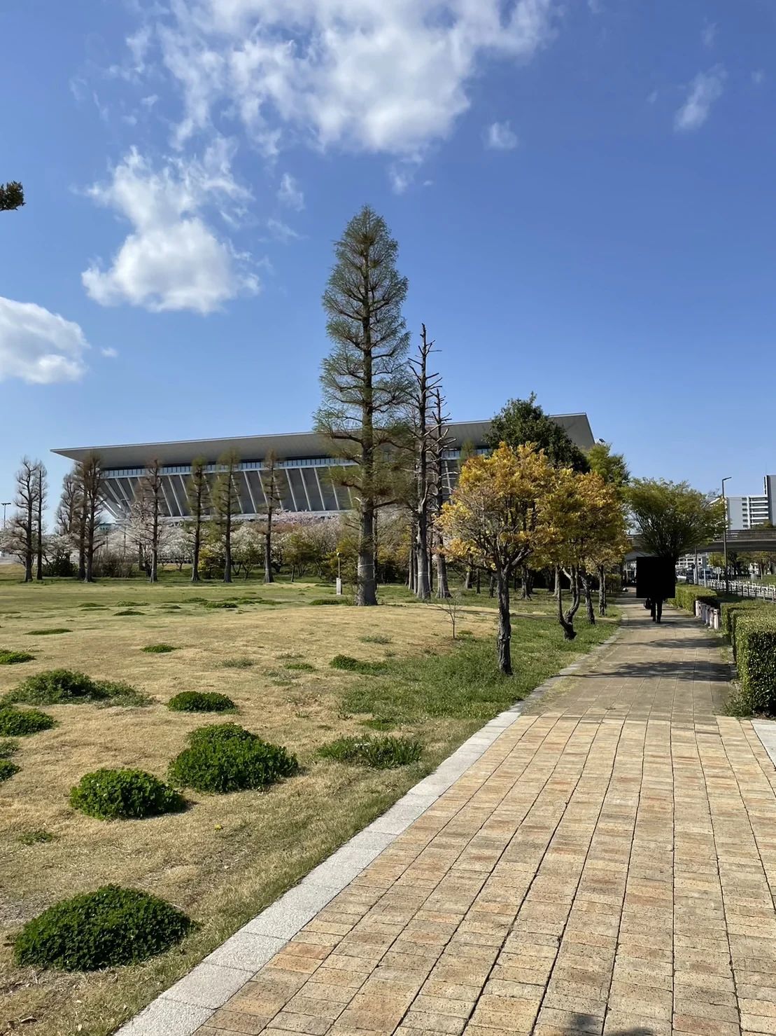 サンフラワースイミングスクールのサムネイル画像 3