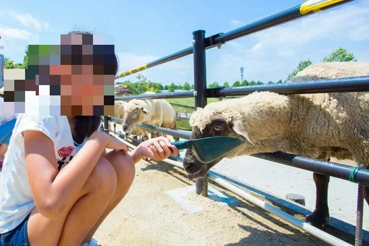 七田式なんば教室プログラミングコースのサムネイル画像 2