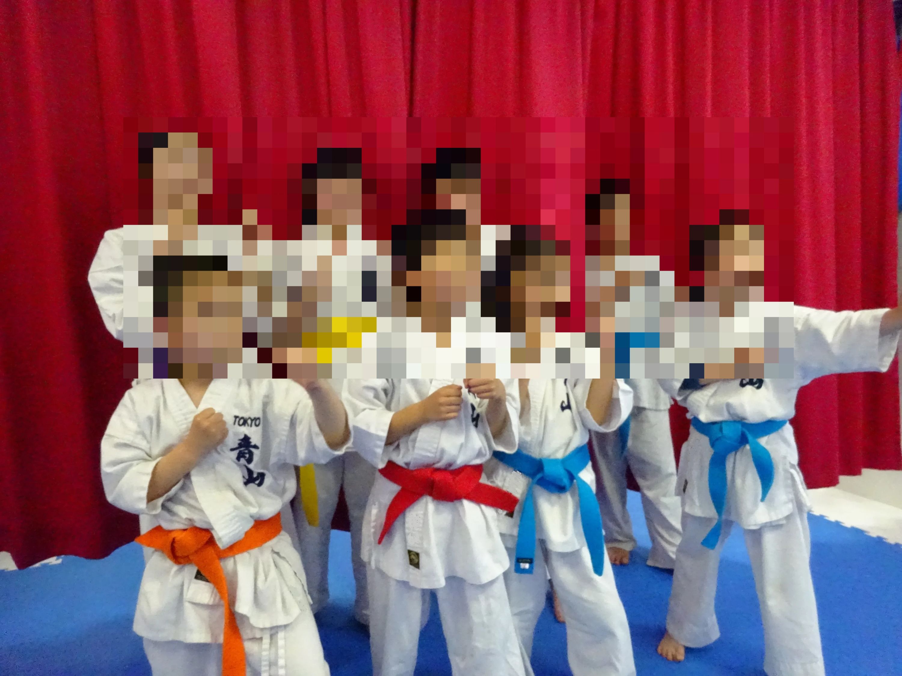 AOYAMA KARATE SCHOOL(青山カラテスクール) 王子教室のサムネイル画像 2