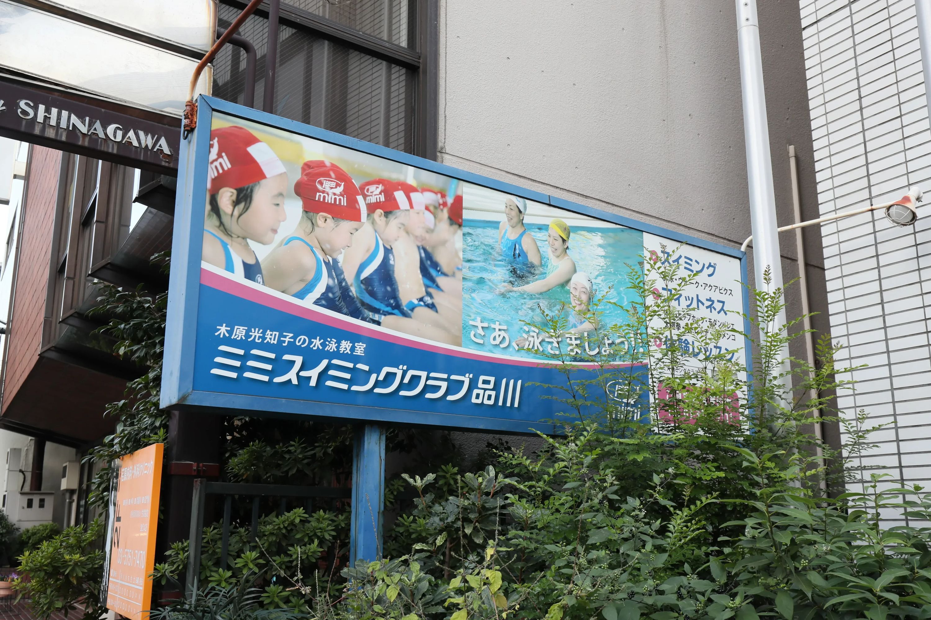 ミミスイミングクラブ 品川のサムネイル画像 2