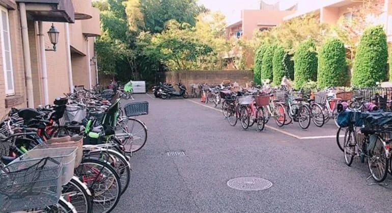 RENAISSANCE(ルネサンス) スイミング・水泳 仙川24のサムネイル画像 3