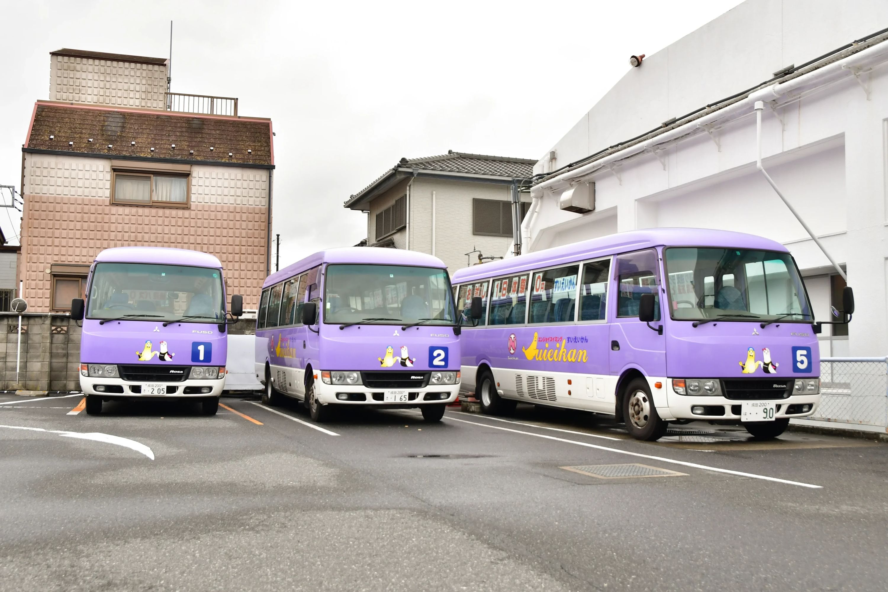 エンジョイスイミングすいえいかん 成田校のサムネイル画像 2
