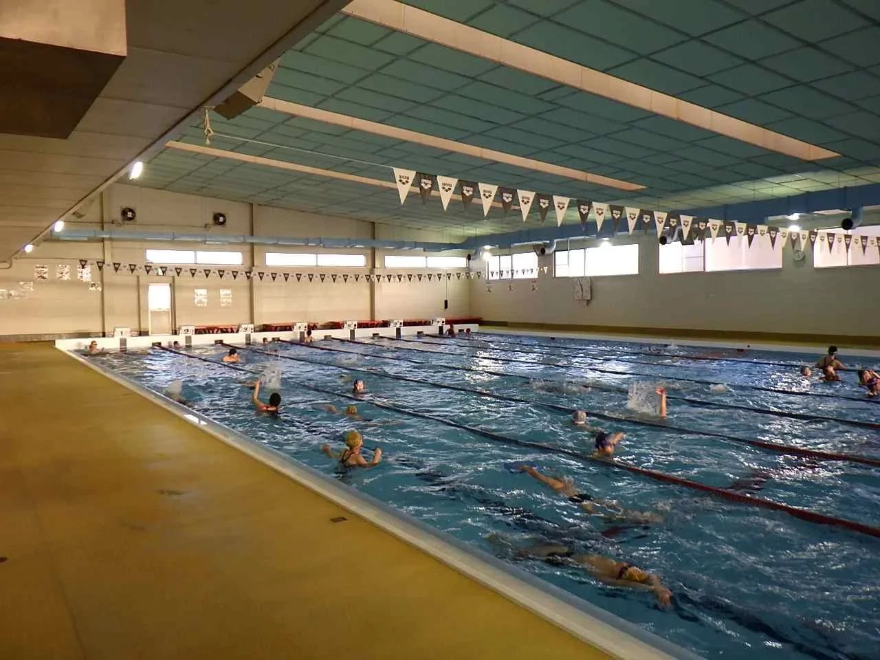 ダッシュ前橋スイミングクラブ 南町教室のサムネイル画像 5