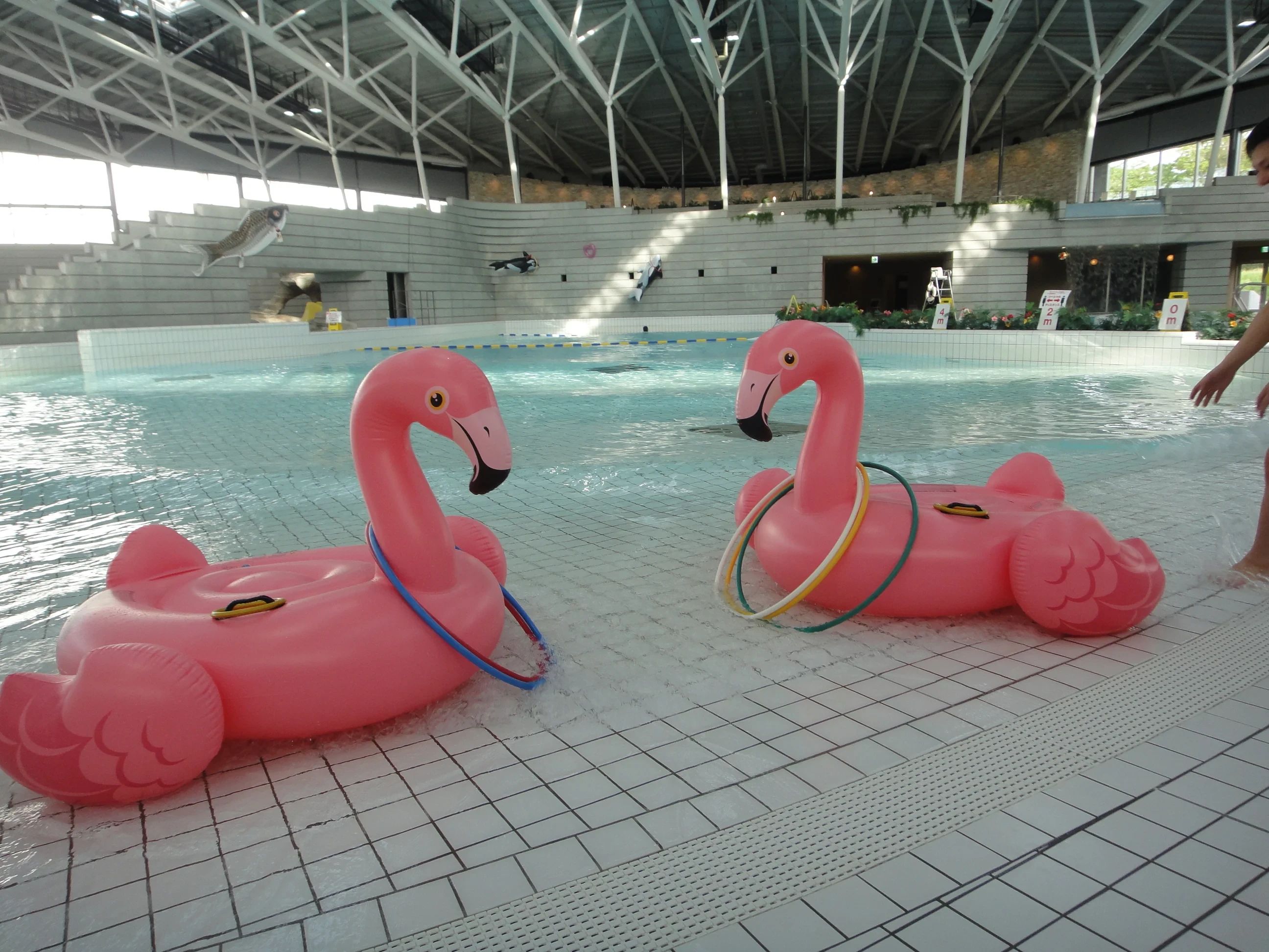 サンマリーンながのスイミングスクール 松岡教室のサムネイル画像 5