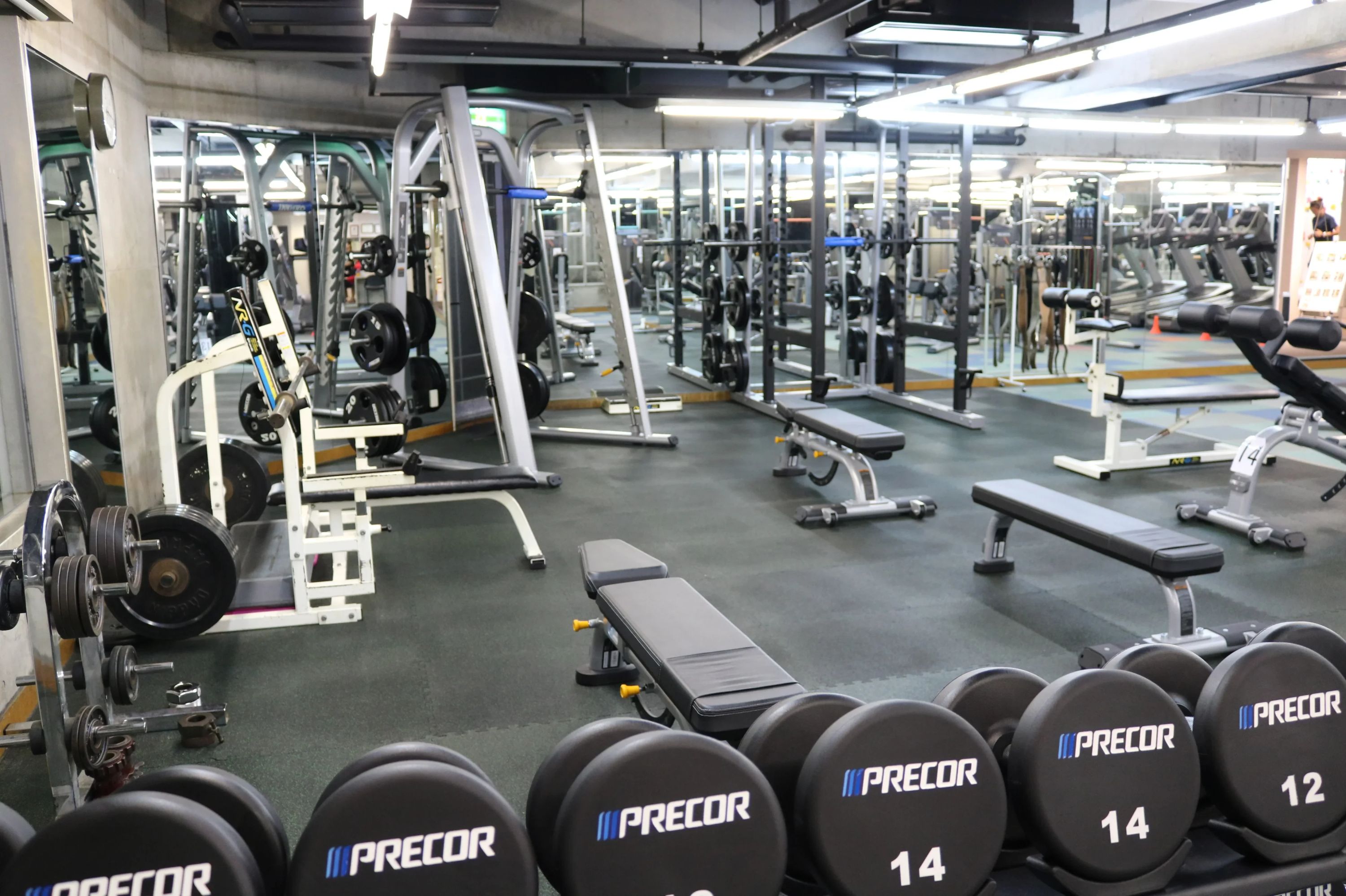 エル・スポーツ スイミング・水泳 京都のメイン画像