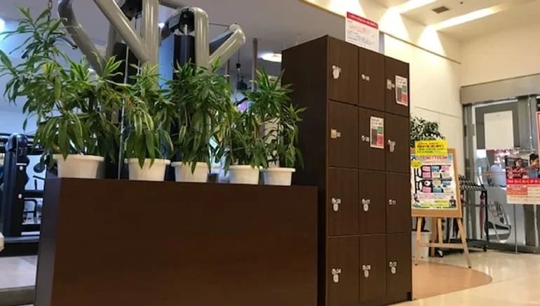 RENAISSANCE(ルネサンス) スイミング・水泳 スポーツクラブ ルネサンス 広島緑井のサムネイル画像 3