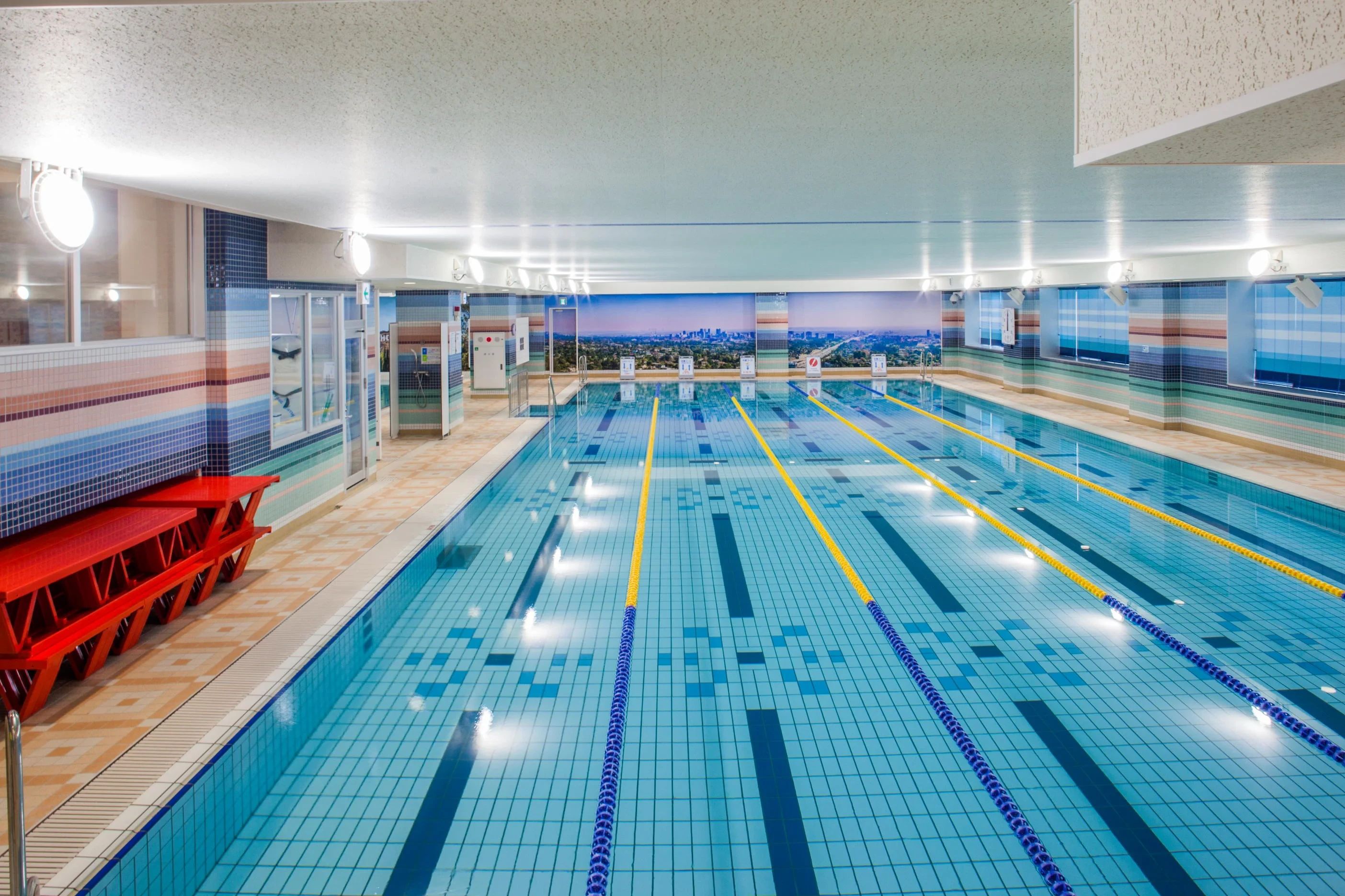 スポーツクラブNAS 運動・体操・陸上 篠崎のサムネイル画像 4