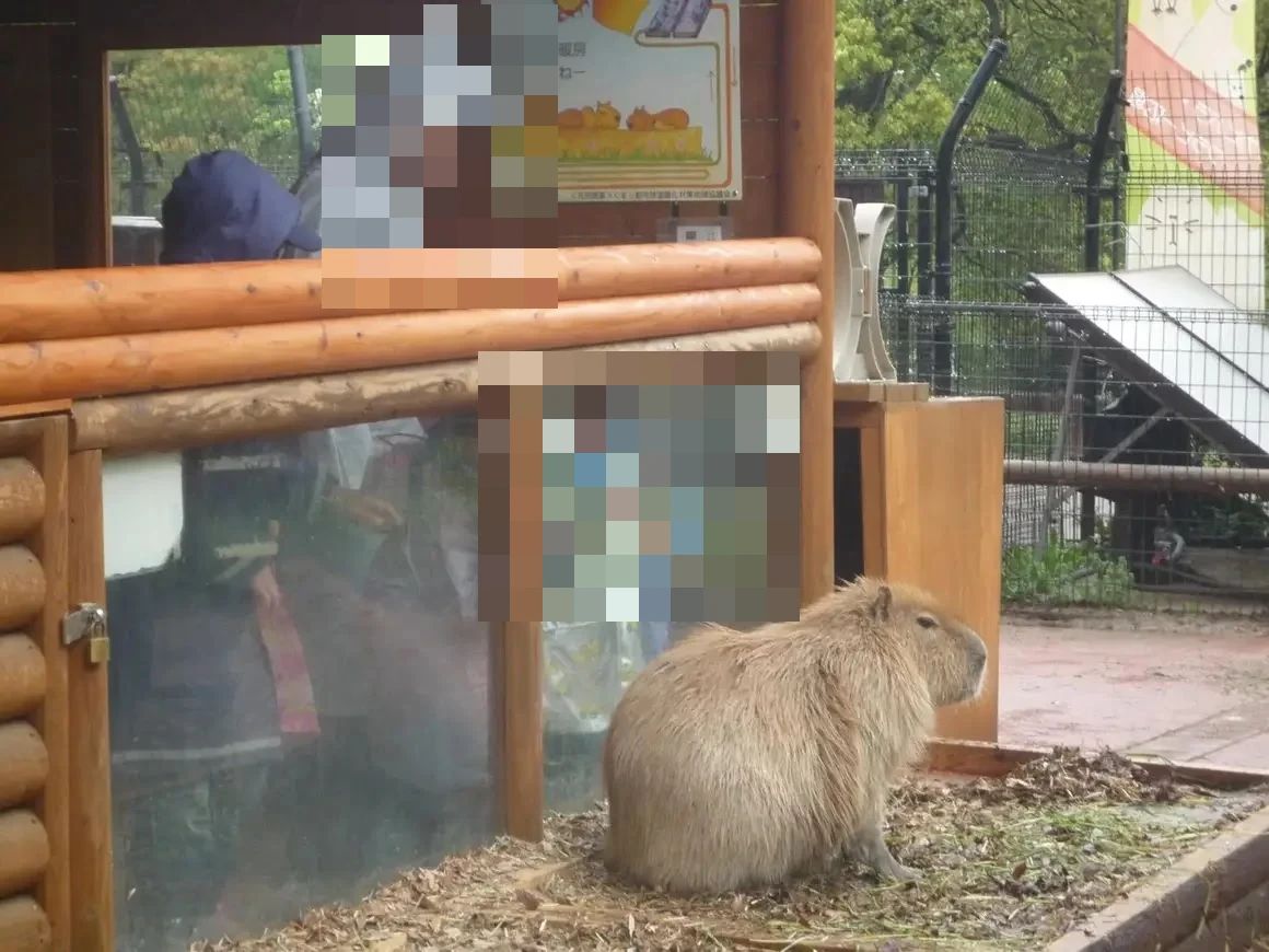 JC(ジュニアクラブ) 運動・体操・陸上 音羽教室のサムネイル画像 3