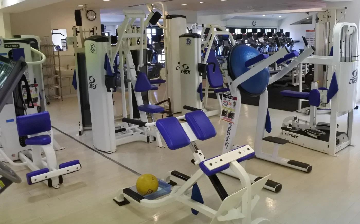 ZAVAS(ザバス) 運動・体操・陸上 鶴見のメイン画像