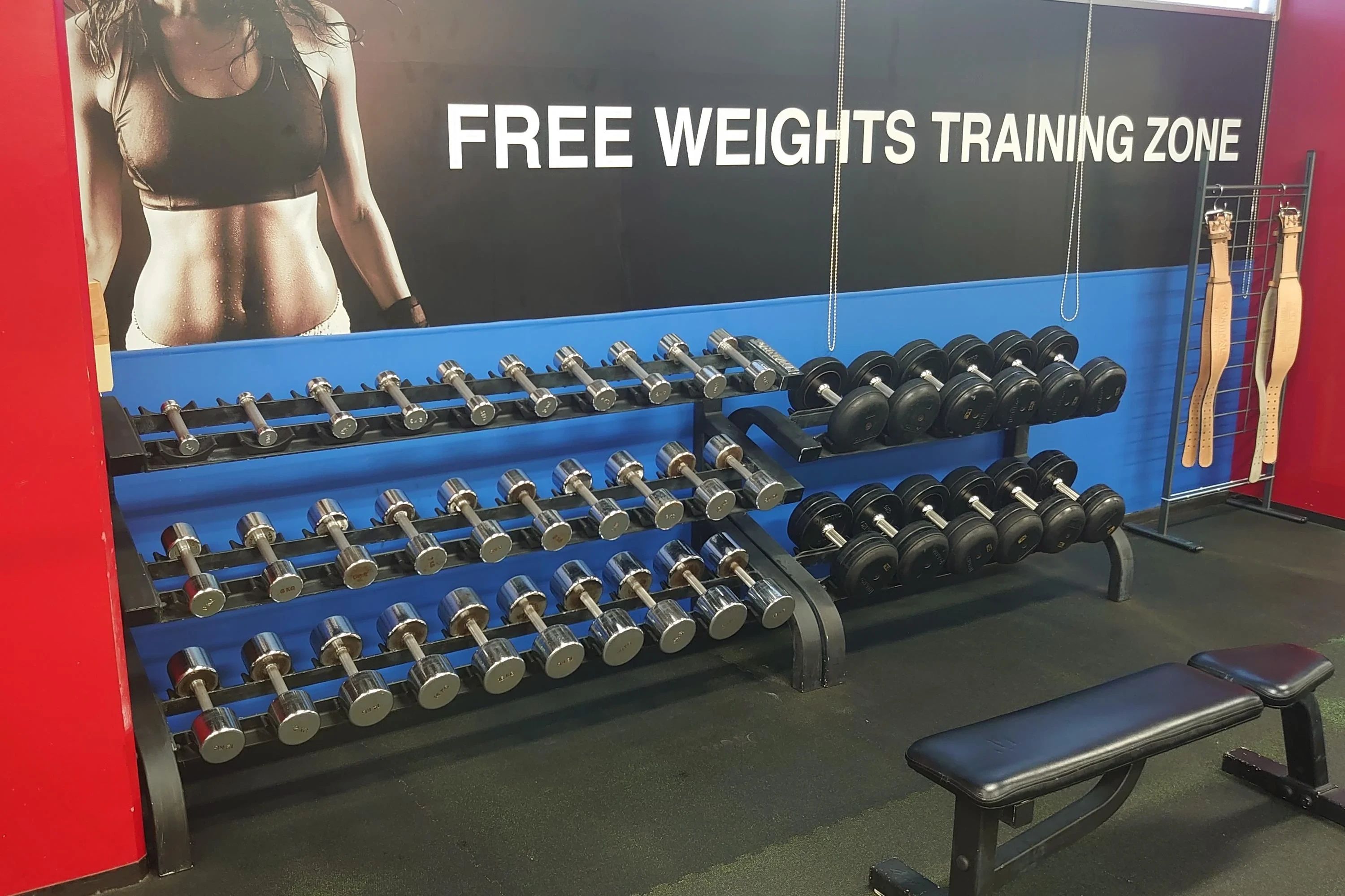 CENTRALSPORTS(セントラルスポーツ) 運動・体操・陸上 セントラルウェルネスクラブ 高崎のサムネイル画像 2