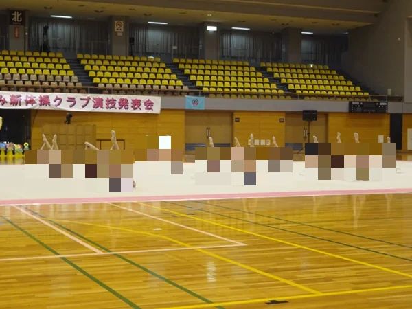 みなみ新体操クラブ 本部のメイン画像