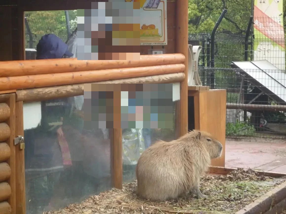 JC(ジュニアクラブ) 運動・体操・陸上 千種教室のサムネイル画像 4