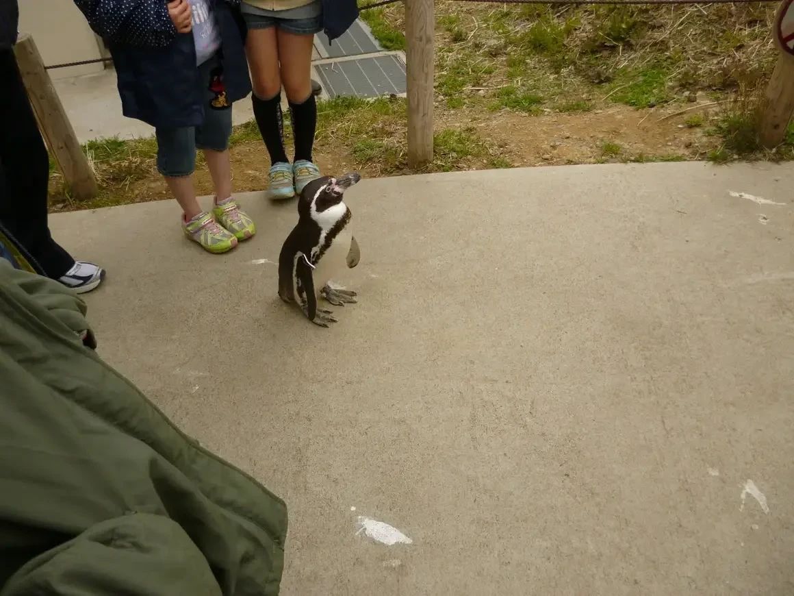 JC(ジュニアクラブ) 運動・体操・陸上 千種教室のサムネイル画像 5