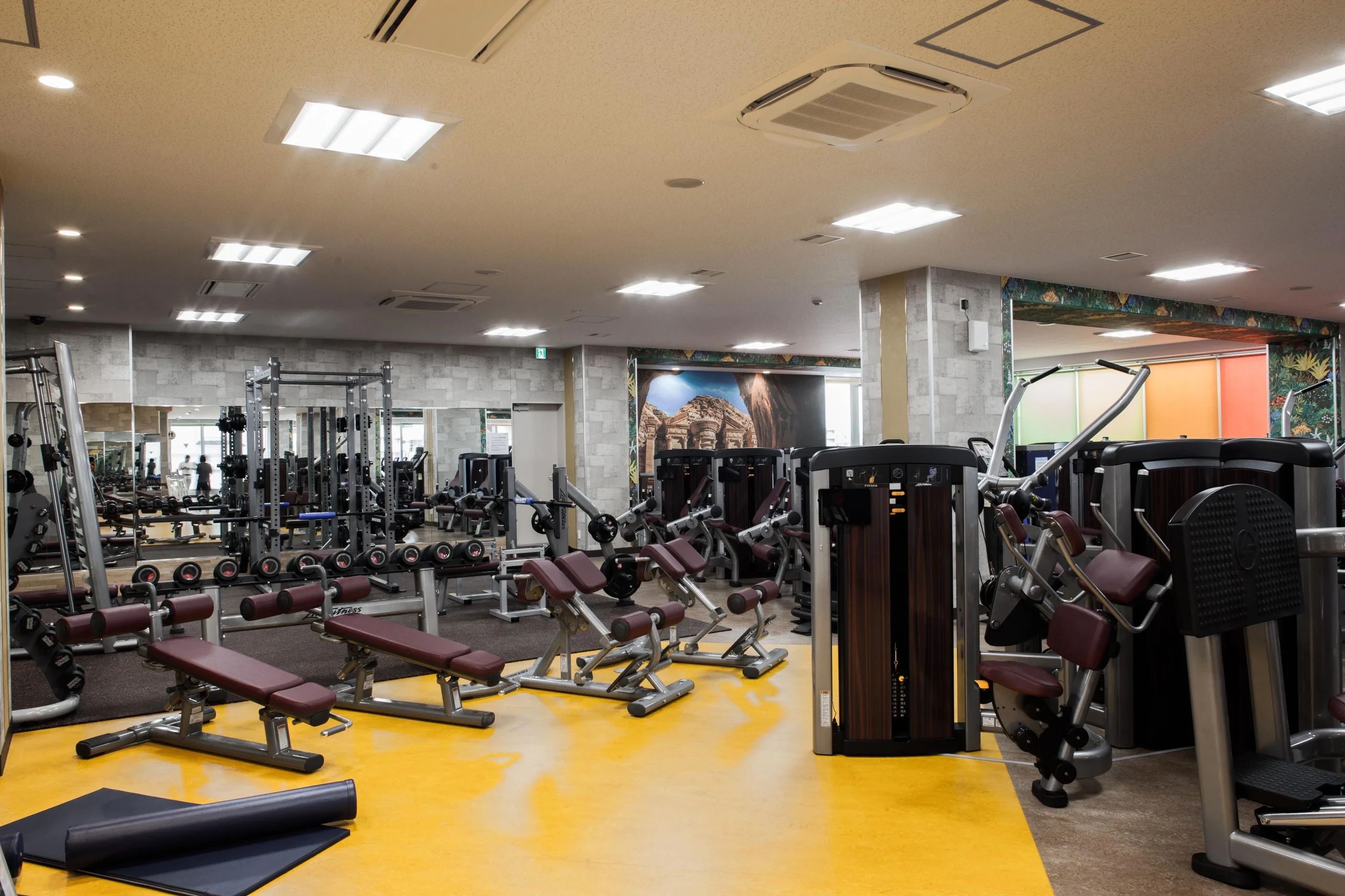 bj(バスケットボールジャパン)アカデミー スポーツクラブNAS篠崎のサムネイル画像 3