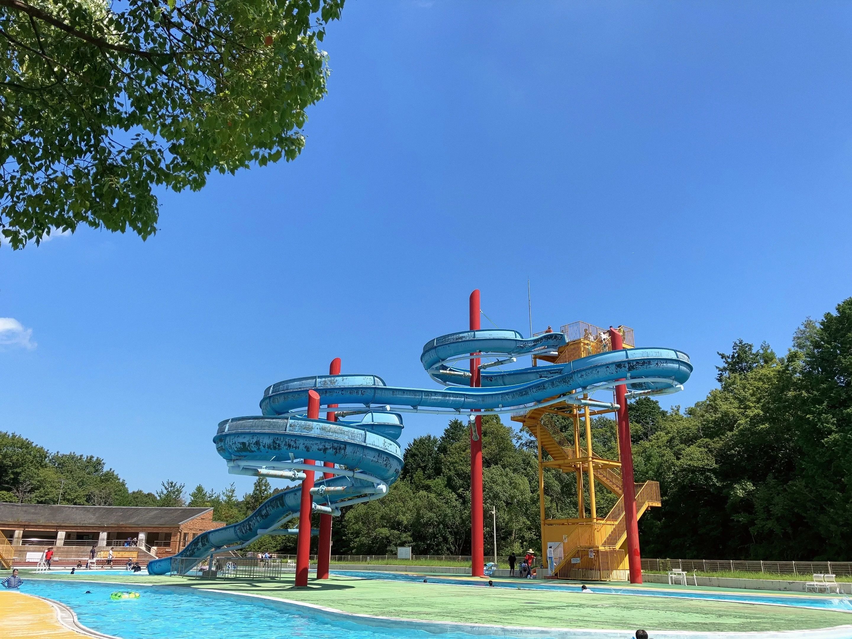 delightJBS バスケットボール 伊勢かぐらばリゾート千の杜のメイン画像