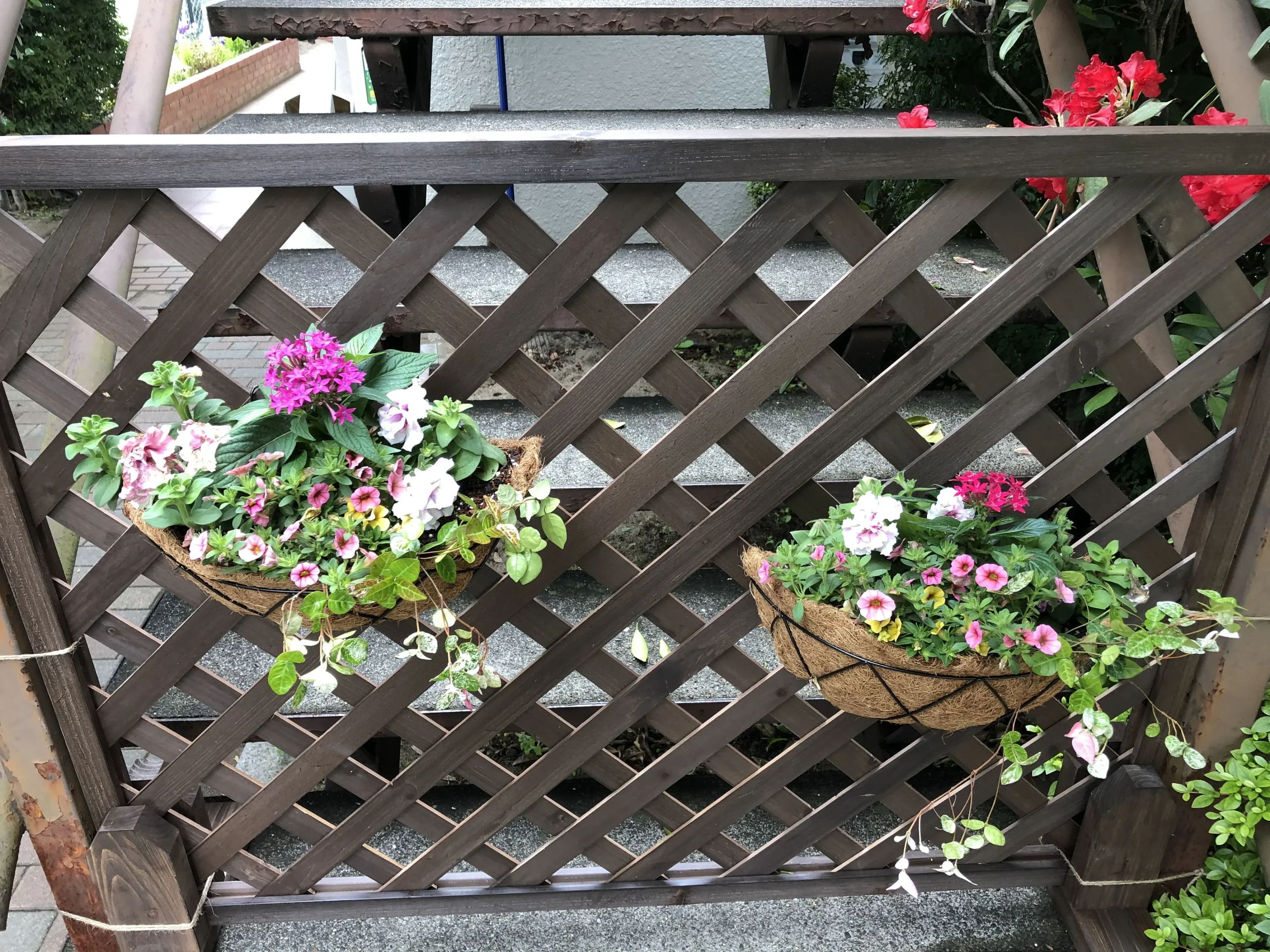 石井真テニスアカデミー 中野スクールのサムネイル画像 4