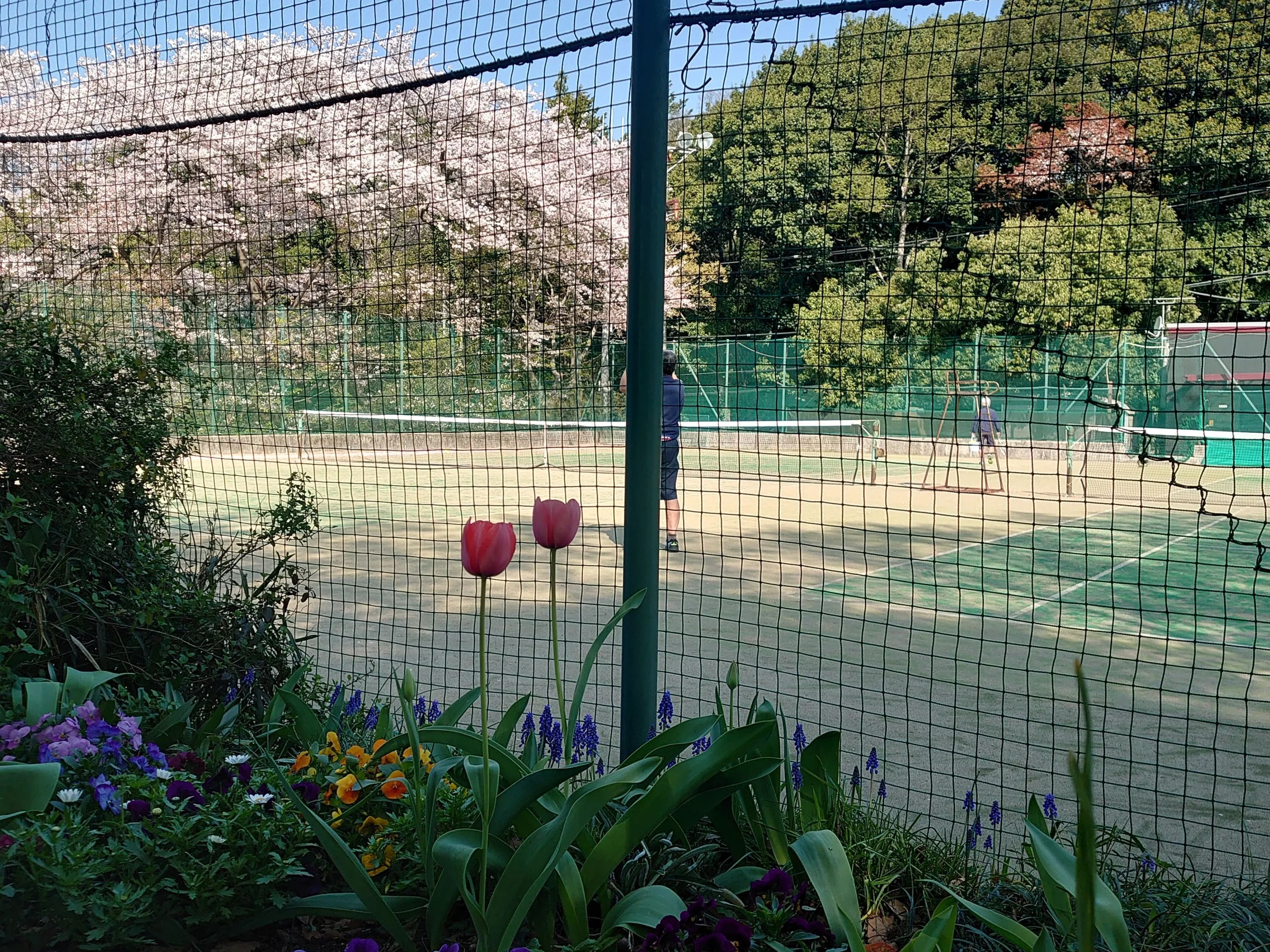 都岡テニスガーデン 本校のサムネイル画像 5