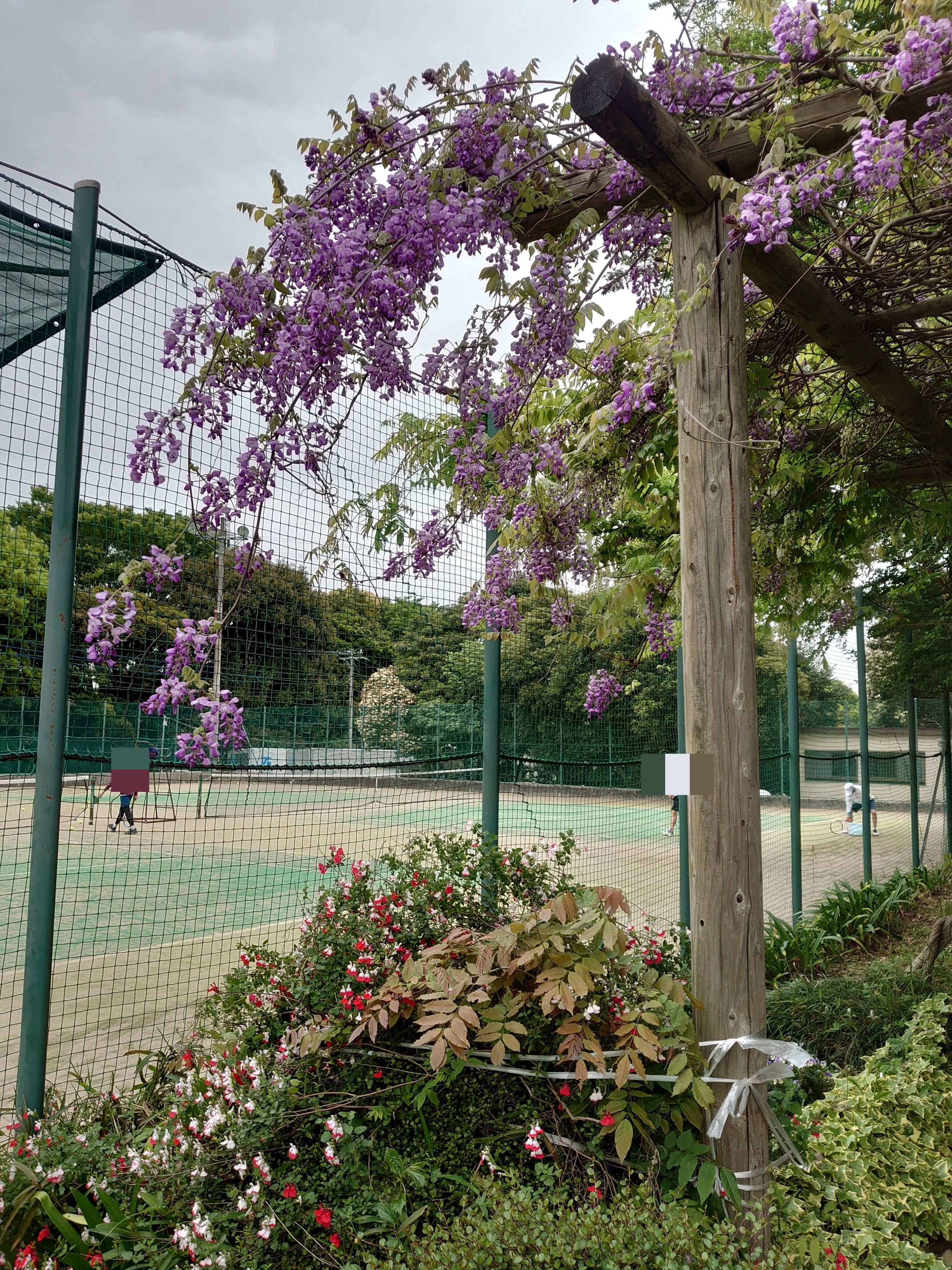 都岡テニスガーデン 本校のサムネイル画像 2