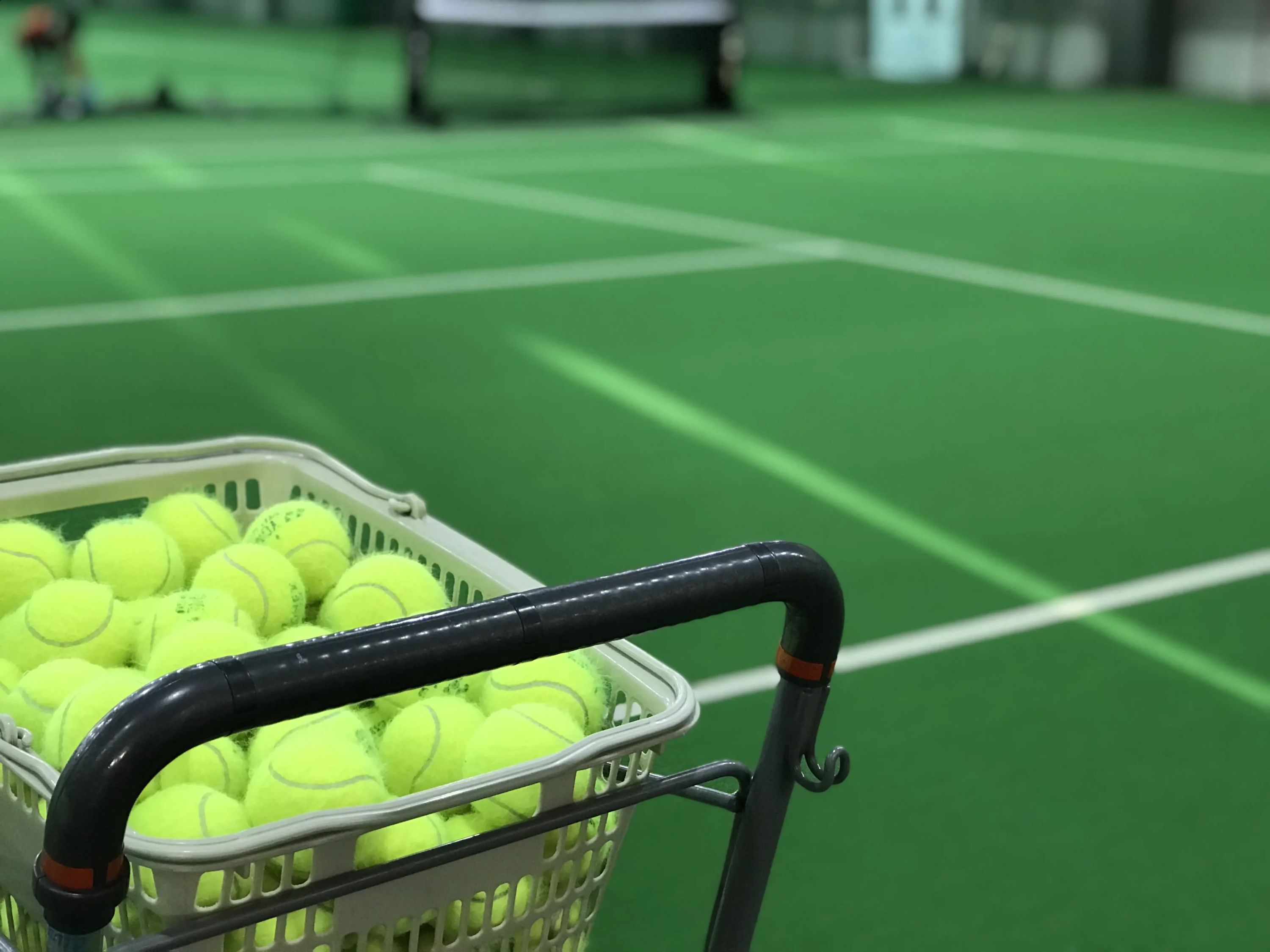 TEGインドアテニススクール 福池教室のサムネイル画像 3