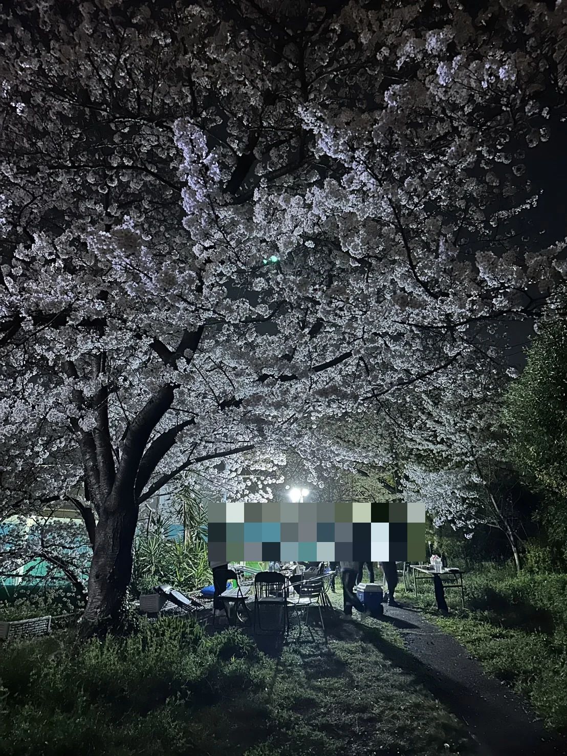 MTS テニス 大阪校のサムネイル画像 2