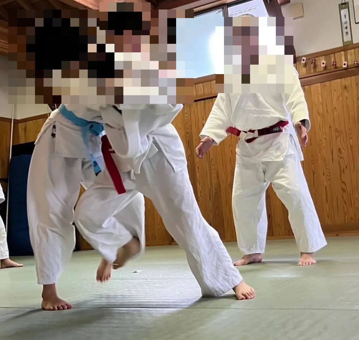 龍城ヶ丘柔道会 内中学校各技場教室のサムネイル画像 3