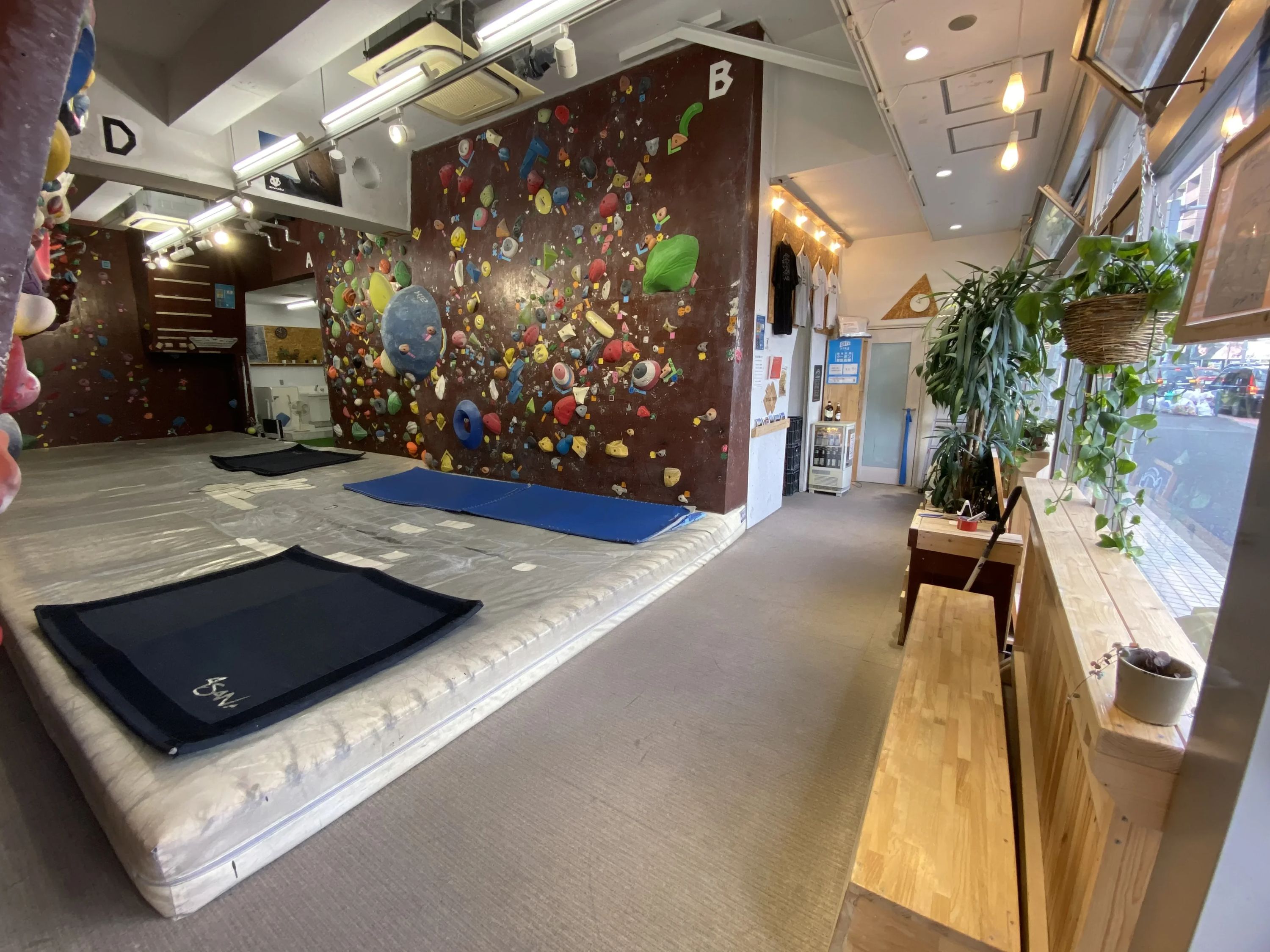 エスカラードクライミングジム ボルダリング 西新宿教室のメイン画像