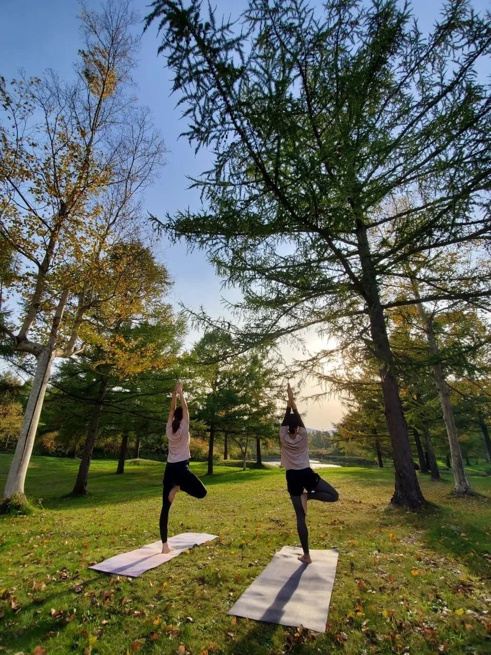 Chakra(チャクラ) キッズヨガ 松陰町教室のサムネイル画像 4