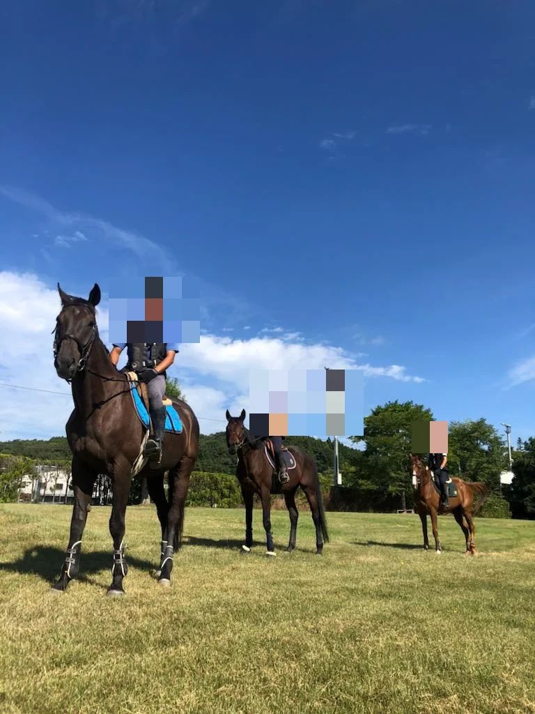 乗馬クラブCRANE(クレイン) 仙台泉パークタウンのサムネイル画像 2