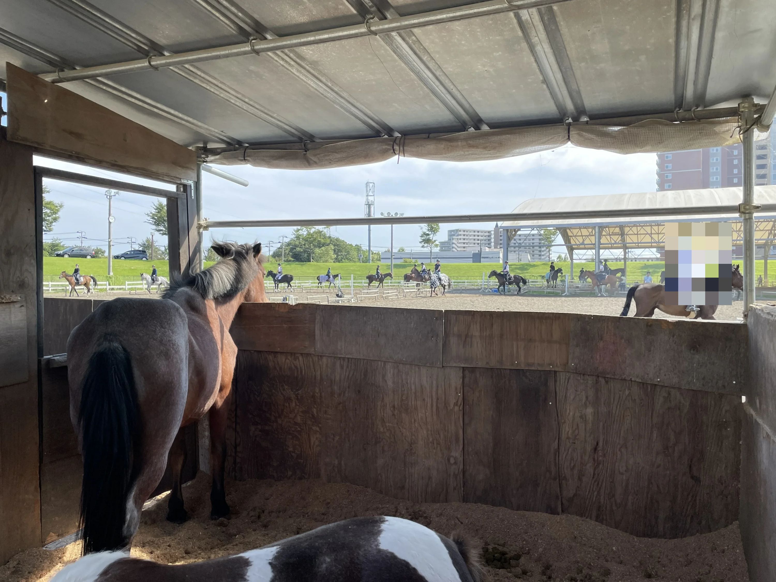 乗馬クラブCRANE(クレイン) 仙台泉パークタウンのサムネイル画像 4