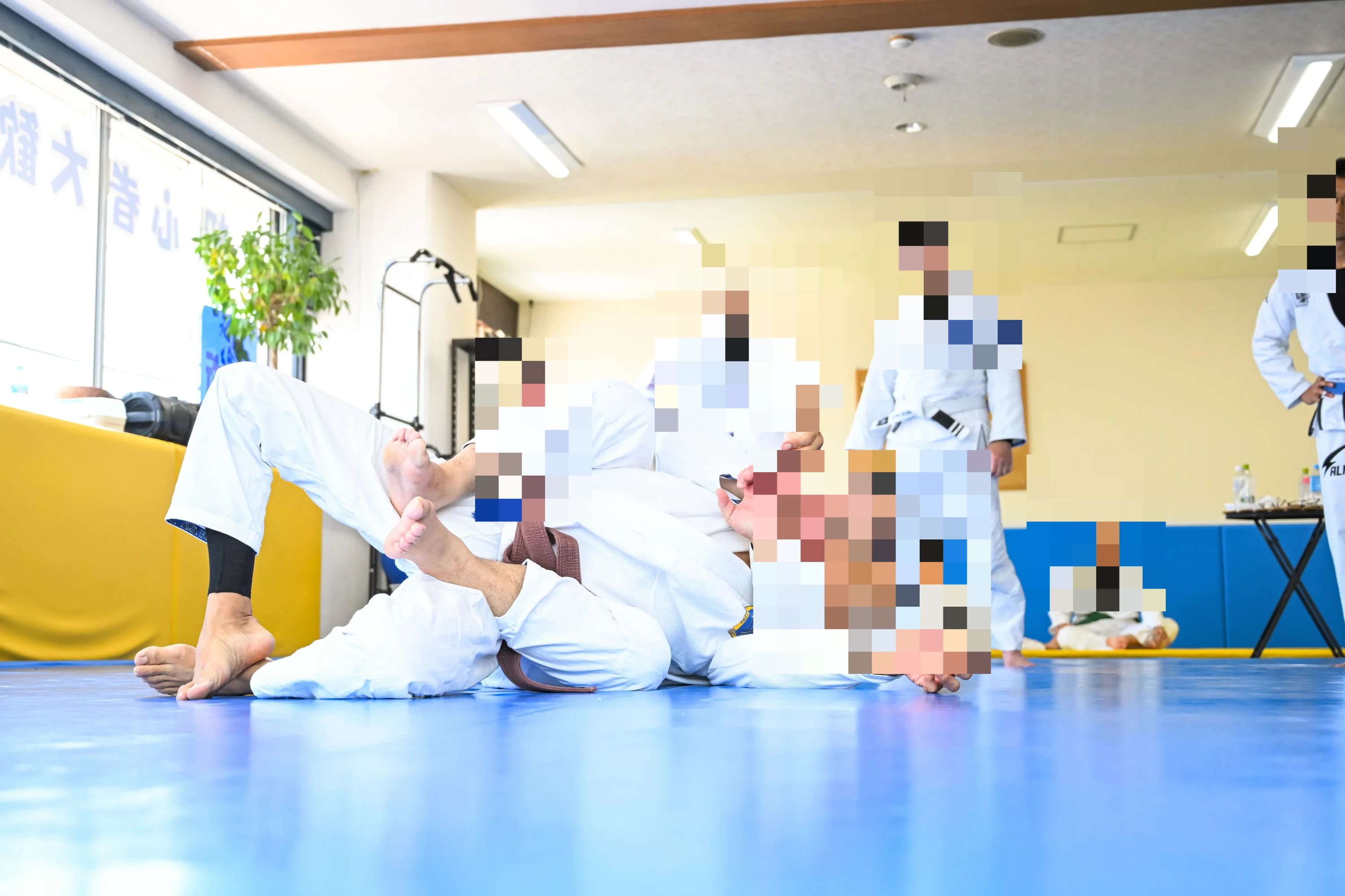 AXIS(アクシス) 柔術 仙台柔術アカデミ-のサムネイル画像 2