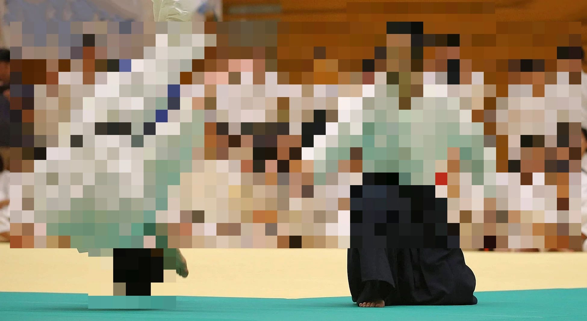 板橋区合気道連盟 上板橋合気会のメイン画像