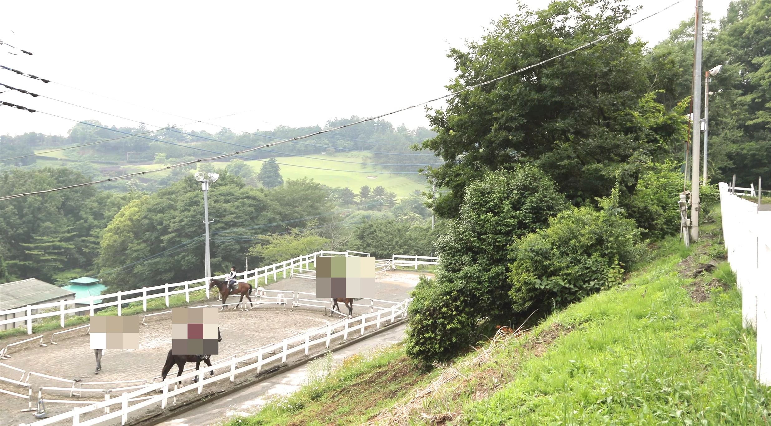 乗馬クラブCRANE(クレイン) 乗馬クラブ クレイン神奈川のサムネイル画像 3