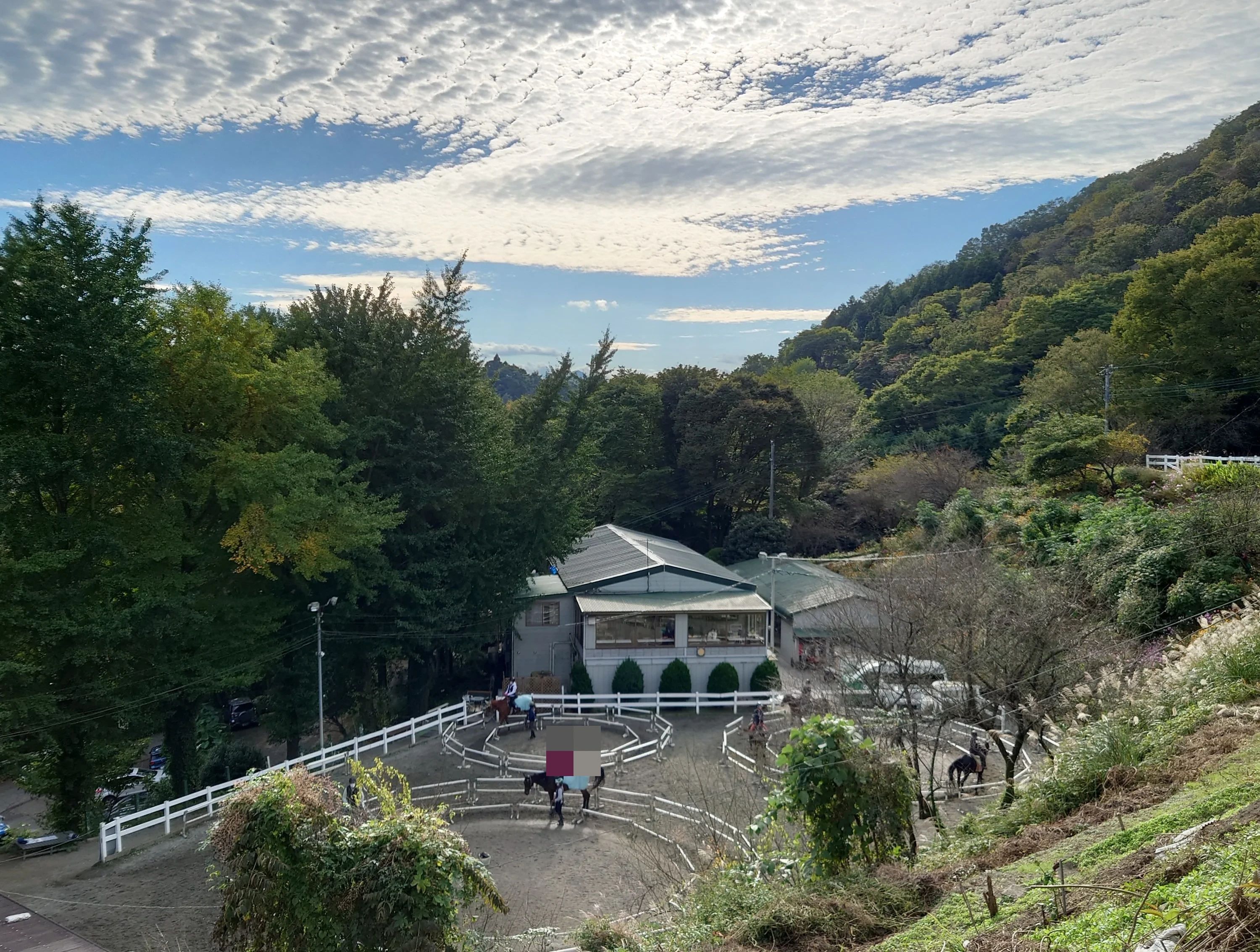 乗馬クラブCRANE(クレイン) 乗馬クラブ クレイン神奈川のサムネイル画像 4