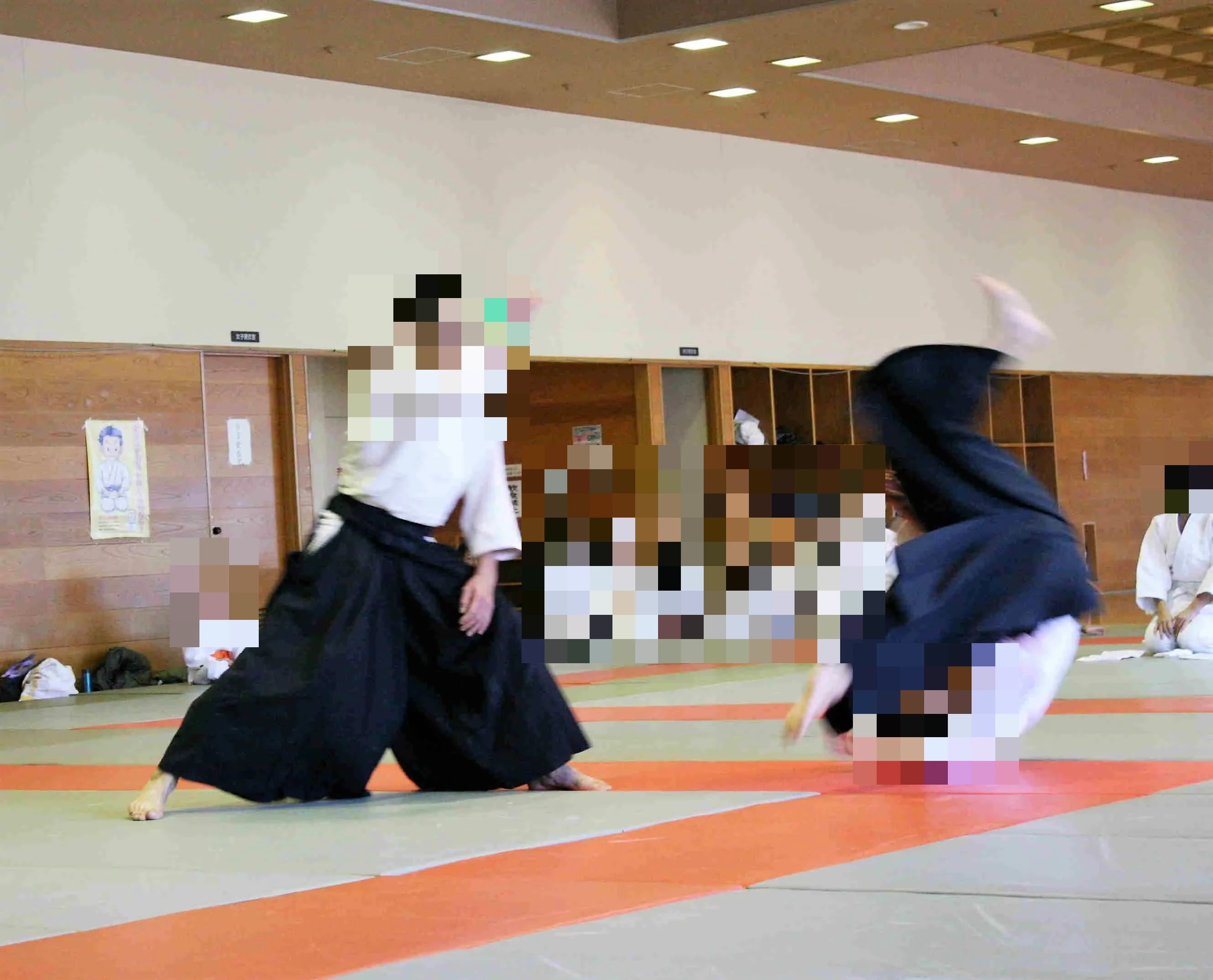 心身統一合気道 岩原教室のサムネイル画像 4