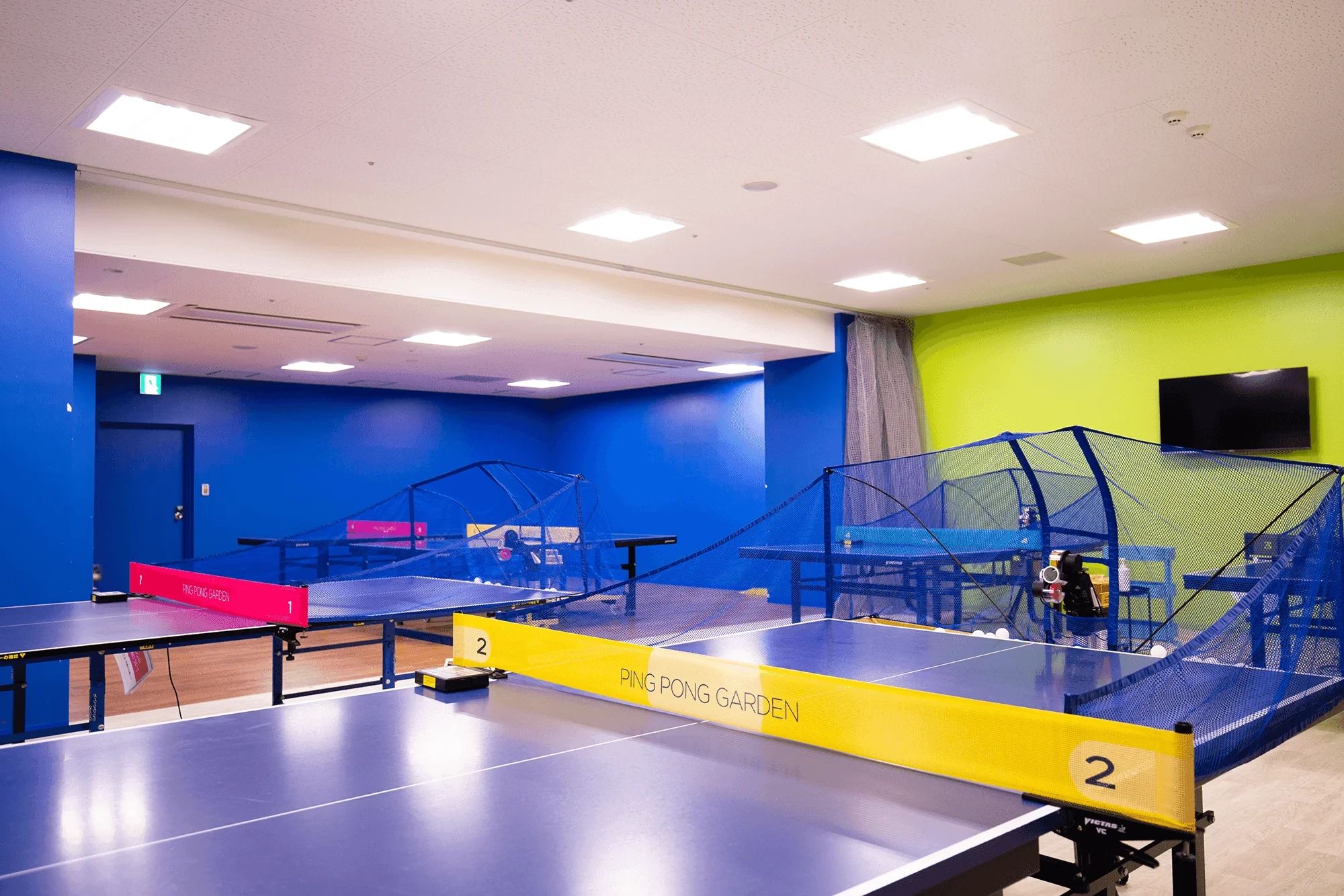 TACTIVE(タクティブ) 卓球 ピンポンガーデン横須賀のメイン画像