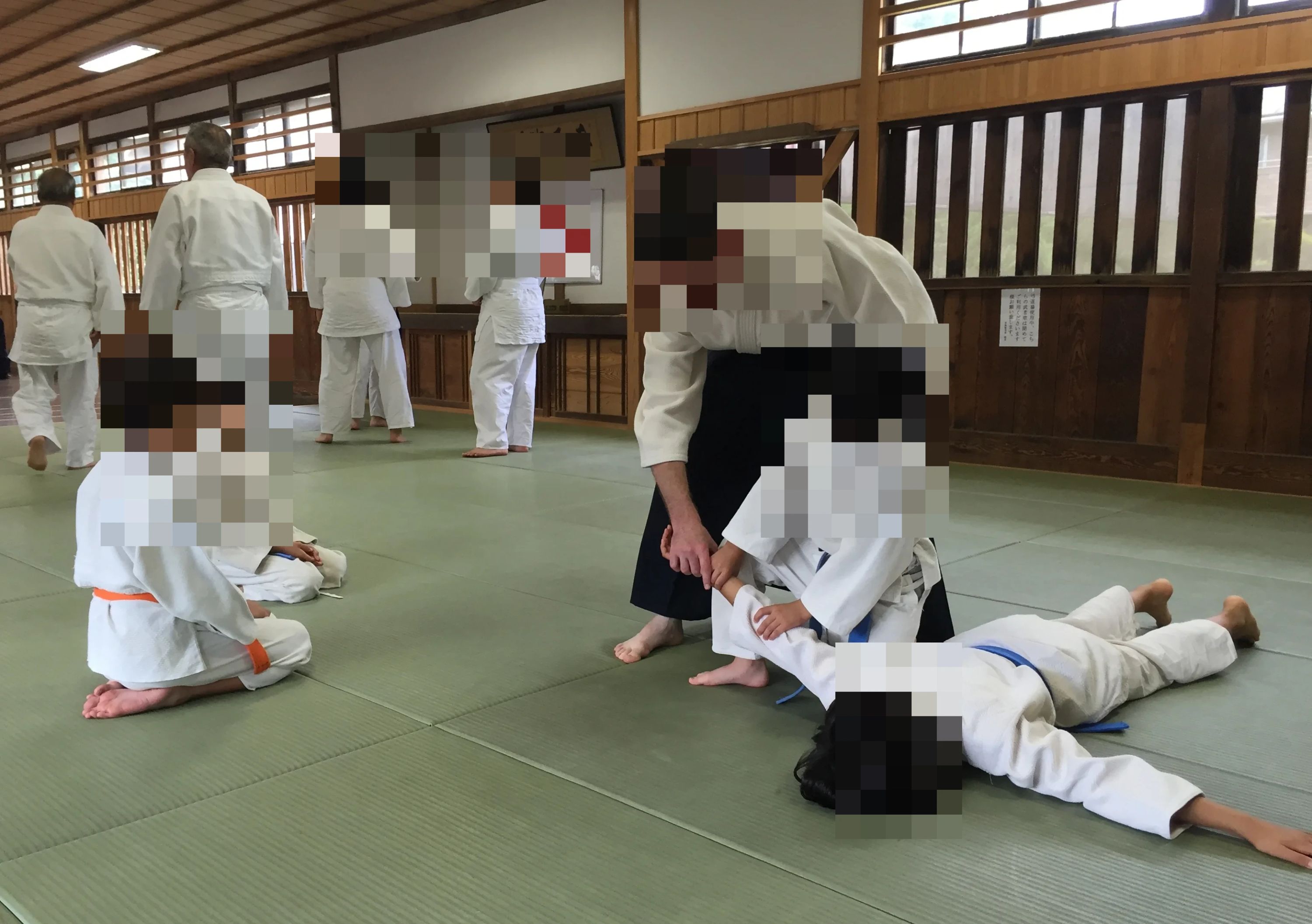 合気道龍 野田同好会のメイン画像