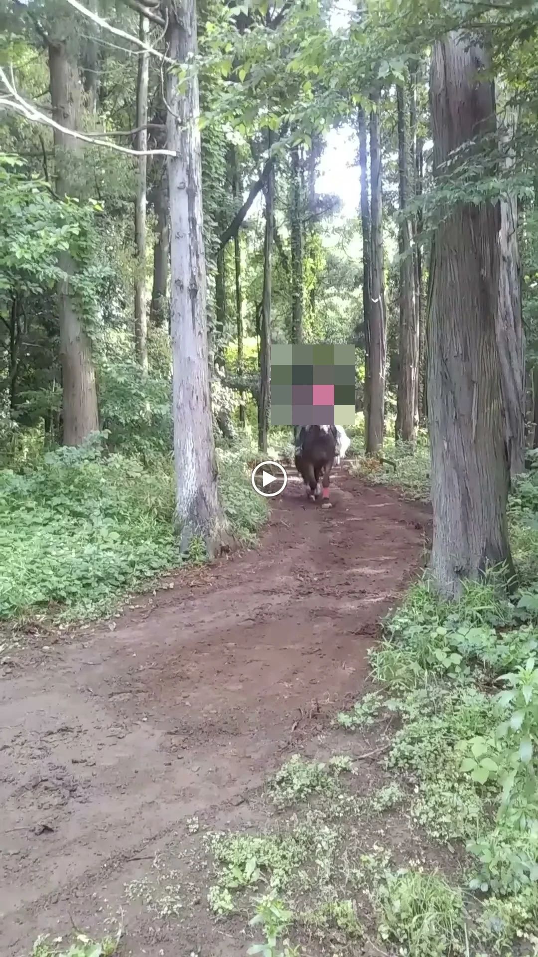 乗馬クラブCRANE(クレイン) 竜ヶ崎のサムネイル画像 2