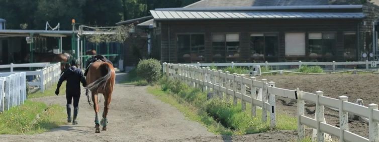 乗馬クラブCRANE(クレイン) 竜ヶ崎のサムネイル画像 4