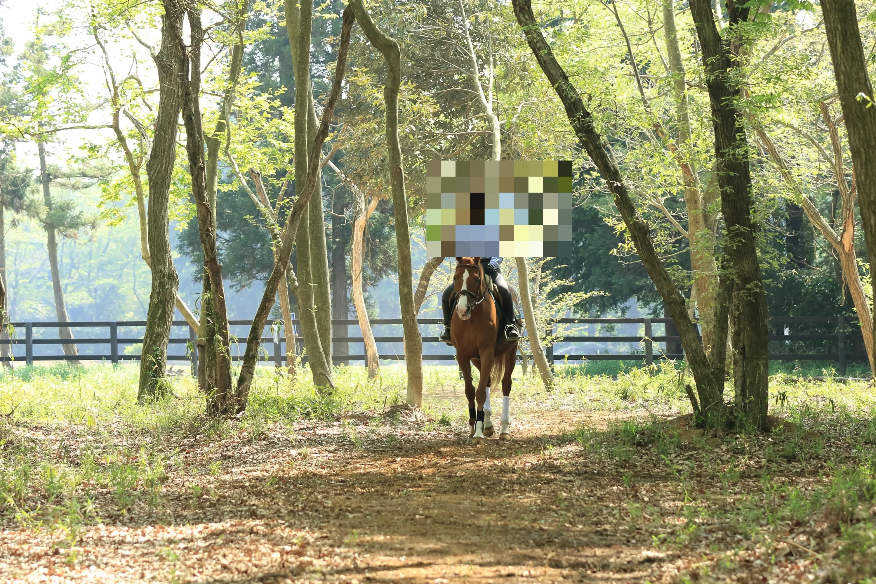 乗馬クラブCRANE(クレイン) 竜ヶ崎のサムネイル画像 5