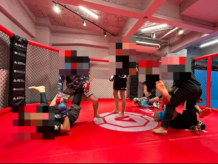 ALIVE(アライブ) 総合格闘技 筒井教室のサムネイル画像 2