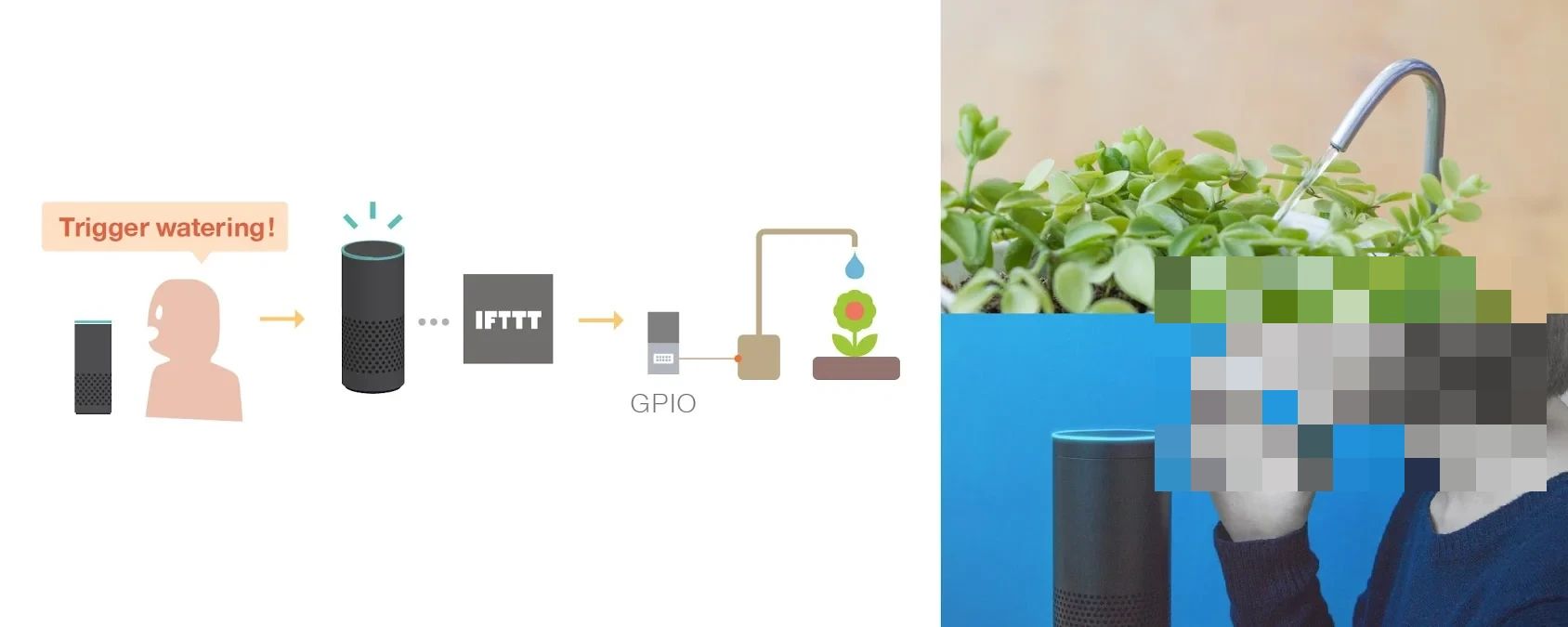 Swimmy 佐倉染井野校のサムネイル画像 5