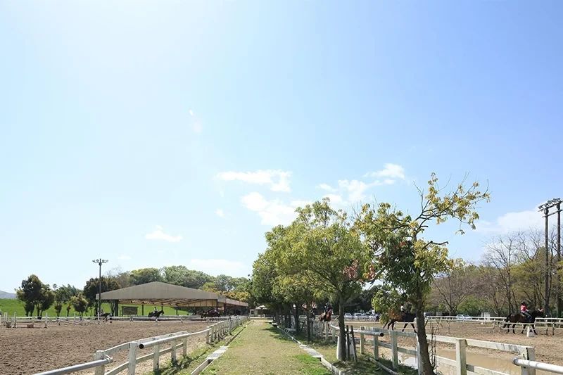 乗馬クラブCRANE(クレイン) 両備乗馬クラブ・クレイン岡山のメイン画像