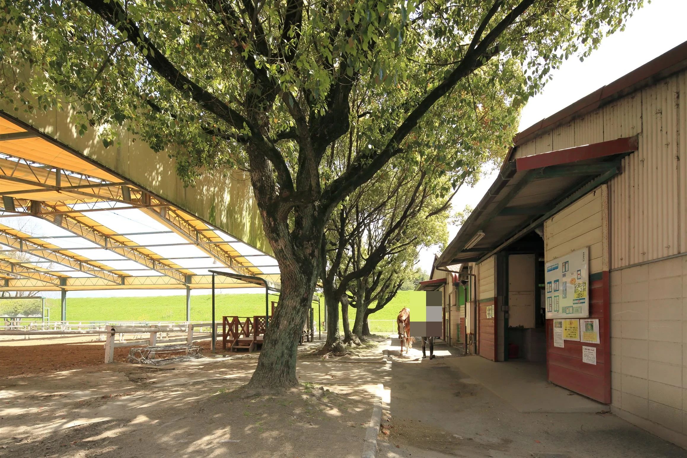 乗馬クラブCRANE(クレイン) 両備乗馬クラブ・クレイン岡山のサムネイル画像 2